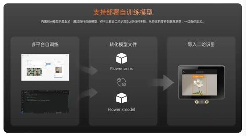 蘑菇云榮膺教育強國論壇2025年度科技創新教育品牌，以創新產品賦能人工智能通識教育與應用軟件開發